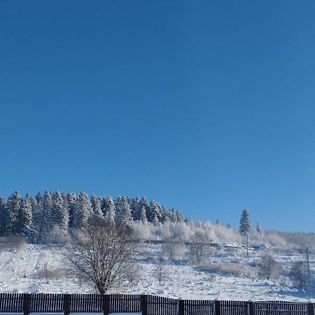 Перлина Карпат Daire Skhidnytsia Dış mekan fotoğraf