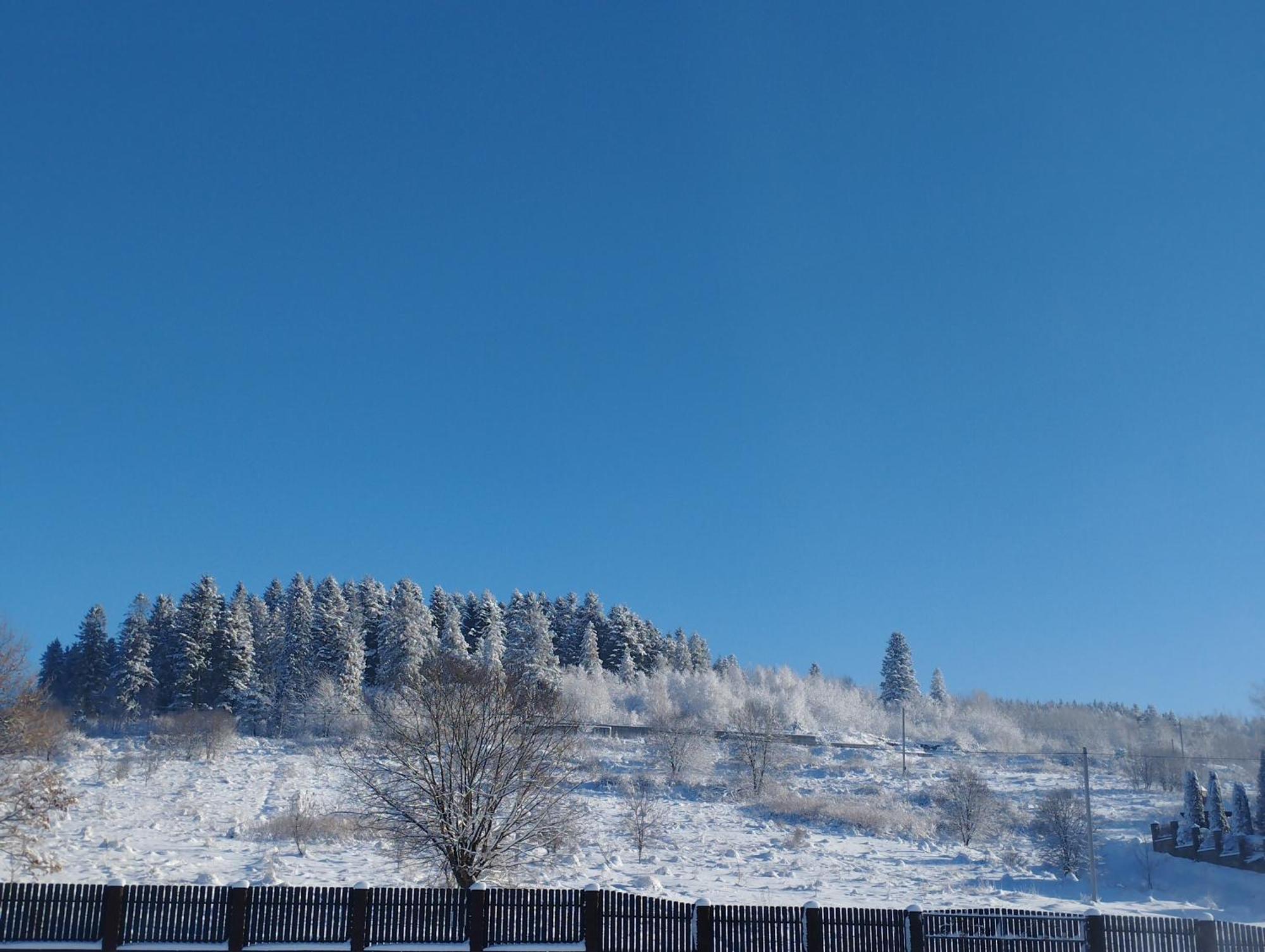 Перлина Карпат Daire Skhidnytsia Dış mekan fotoğraf